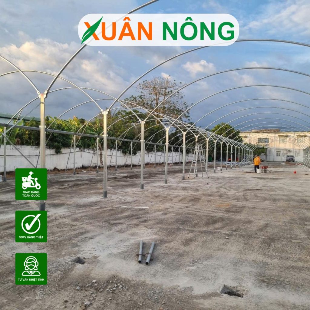 Nhà Kính Phơi Bong Bóng Cá