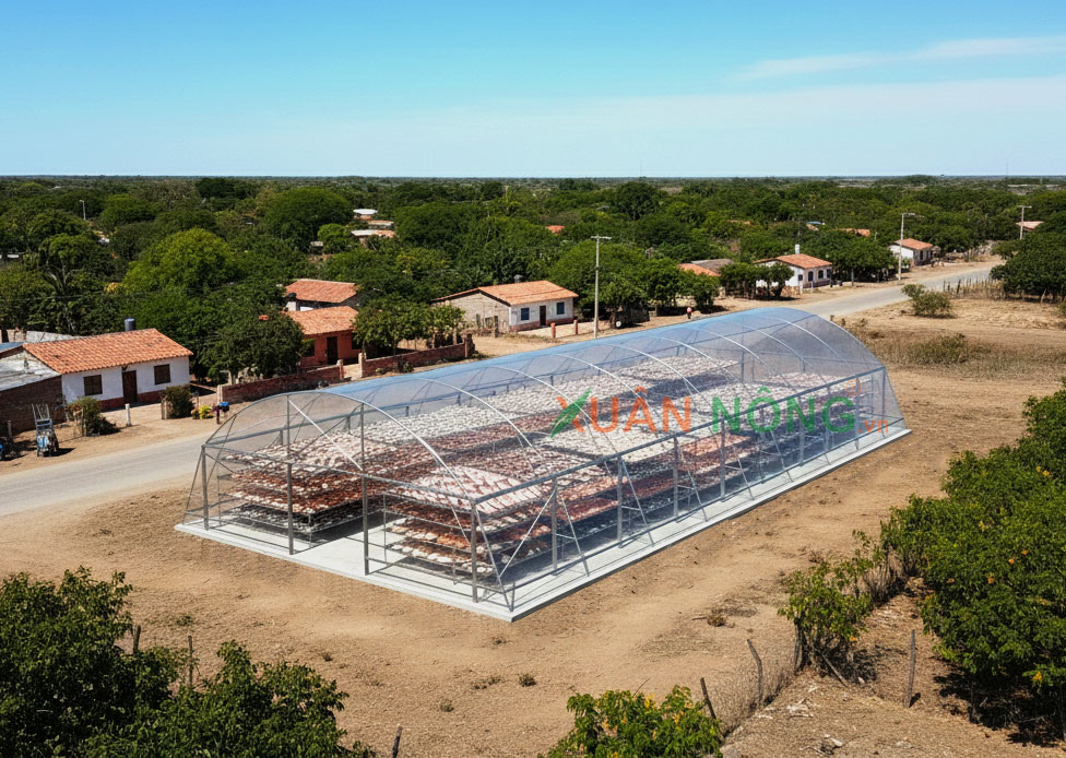 Nhà Kính Phơi Cá – Giải Pháp Vệ Sinh Và Hiệu Quả