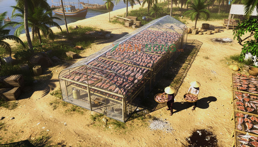Nhà Kính Phơi Cá – Giải Pháp Vệ Sinh Và Hiệu Quả