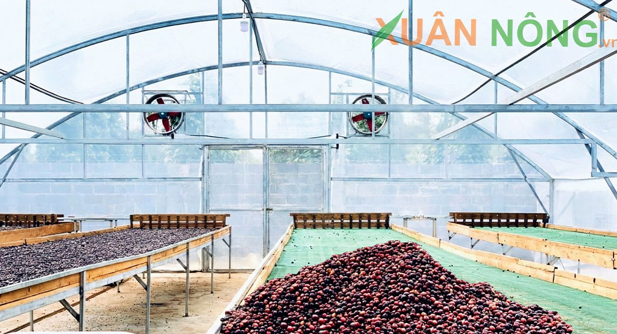 nhà kính phơi nông sản