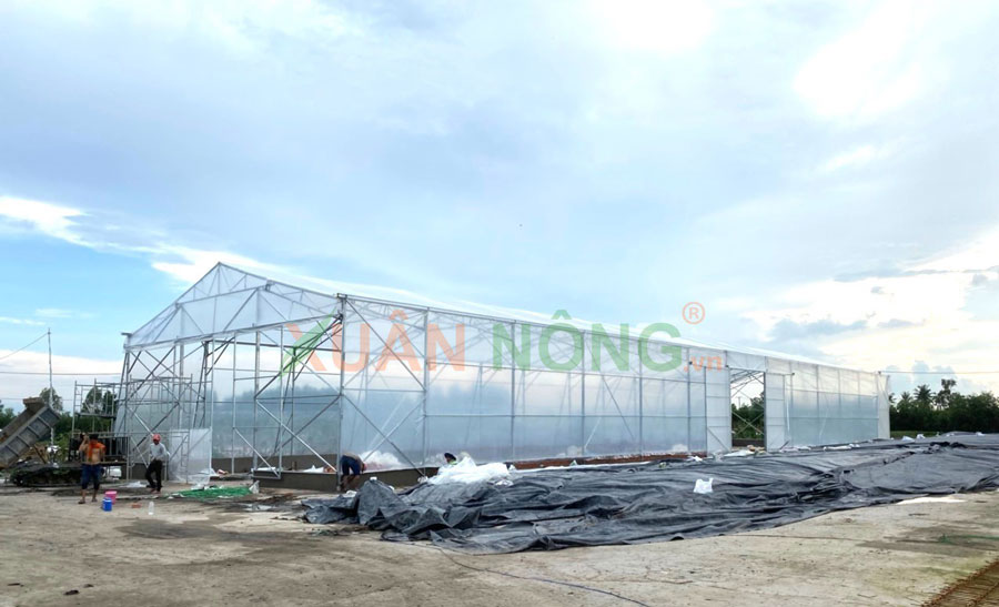 Nhà Kính Phơi Chuối