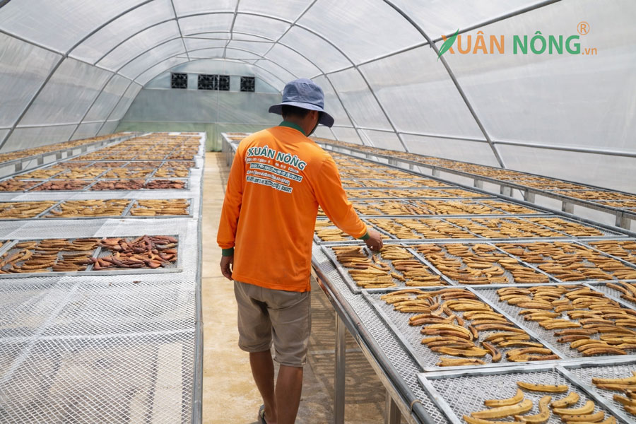 Nhà Kính Phơi Chuối