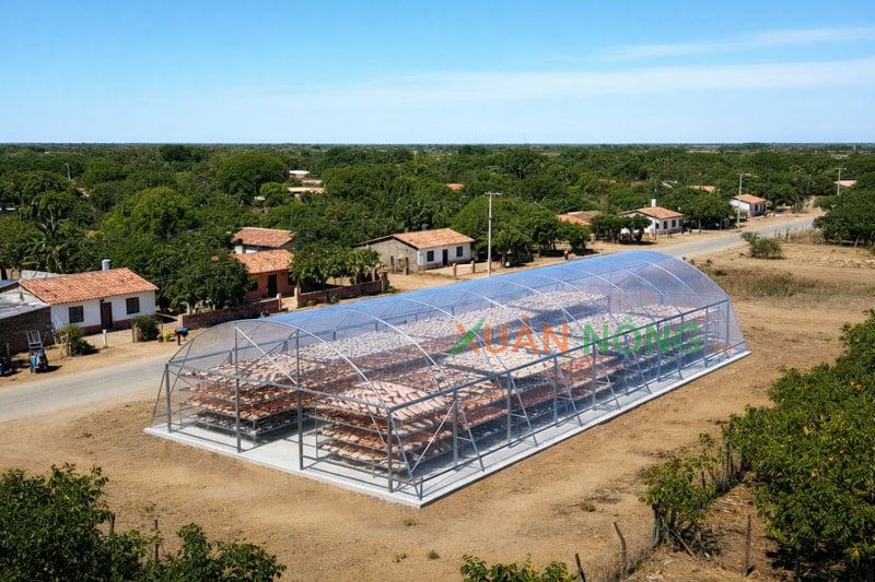 Nhà Kính Phơi Khô – Giải Pháp Đa Năng