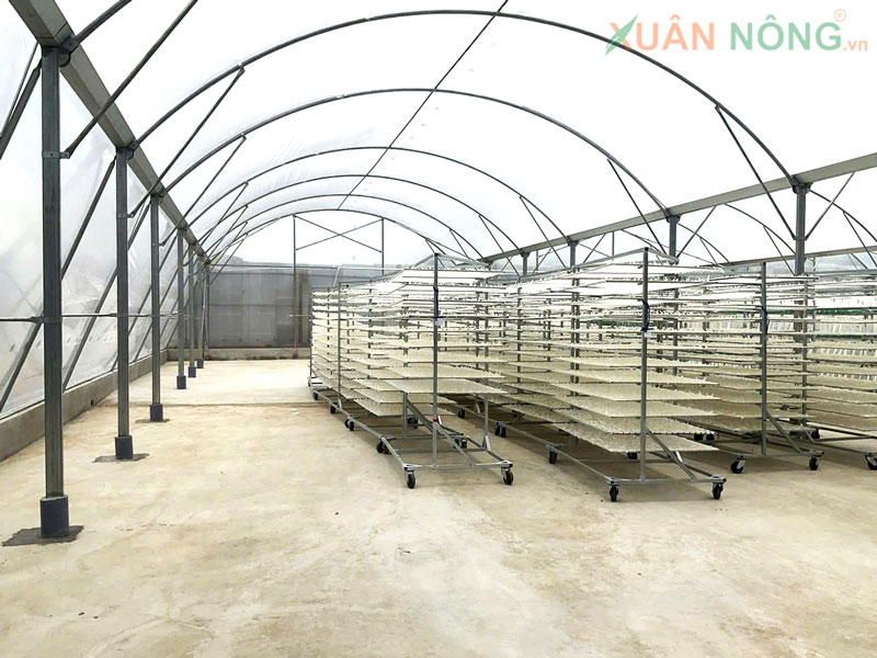 Nhà Kính Phơi Khô – Giải Pháp Đa Năng