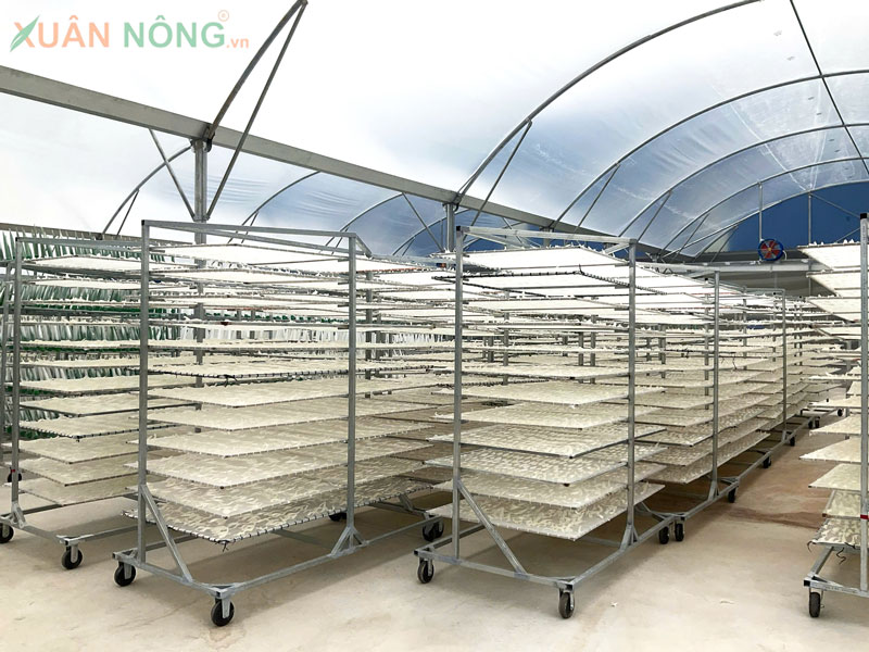 Nhà Kính Phơi Khô – Giải Pháp Đa Năng