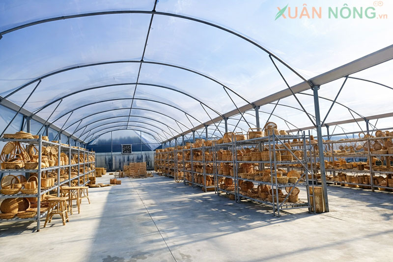 Nhà Kính Phơi Lục Bình – Bảo Toàn Chất Lượng Nguyên Liệu