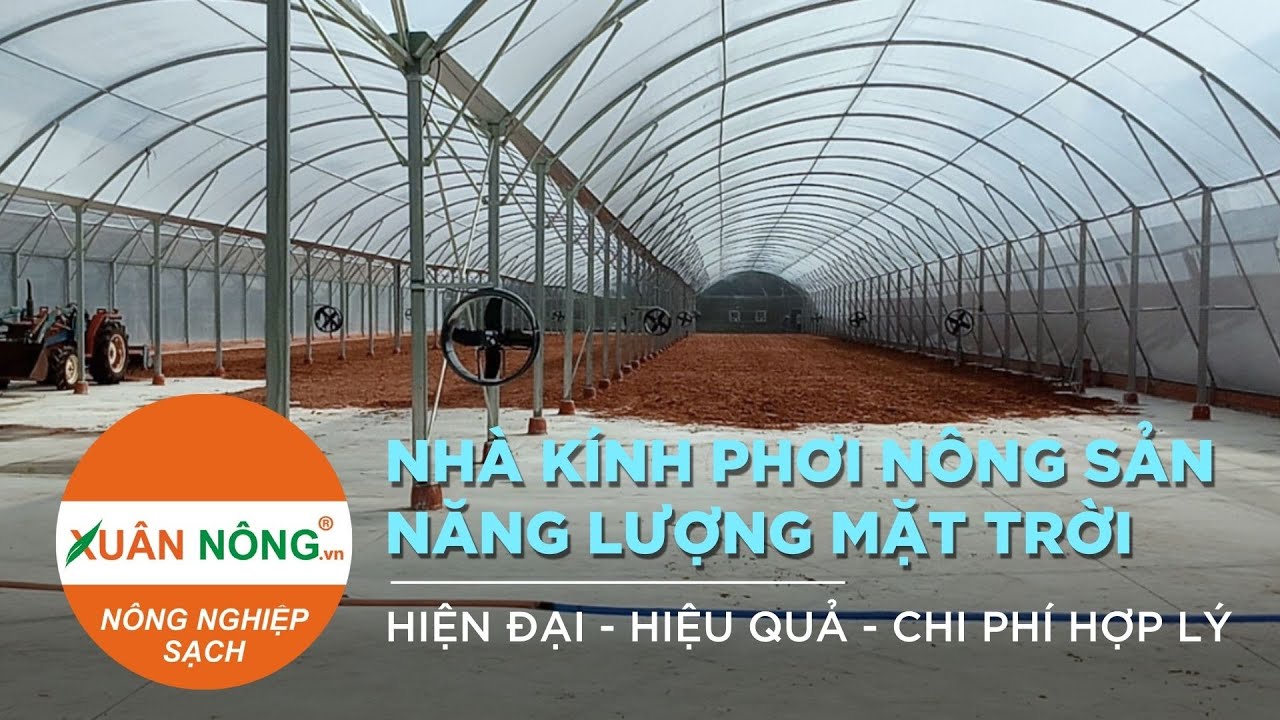 Nhà kính phơi nông sản tận dụng năng lượng mặt trời — mái PE trong suốt, không tốn điện vận hành