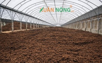 Nhà Kính Phơi Phân Hữu Cơ – Giải Pháp Làm Khô Nhanh, Đạt Chuẩn