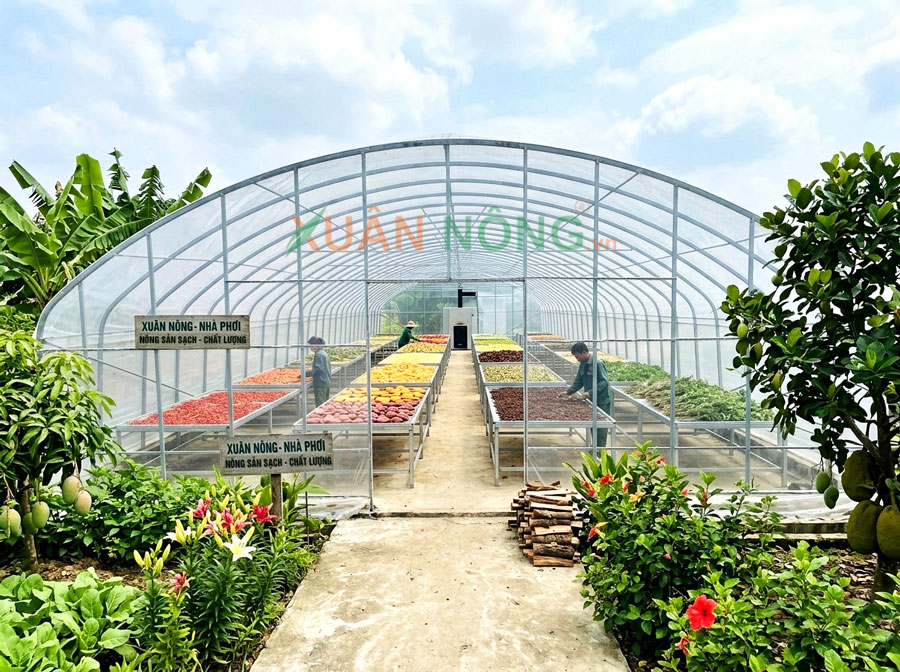Nhà Kính Phơi Sấy Nông Sản