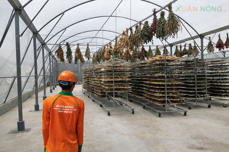 nhà kính phơi thuốc nam