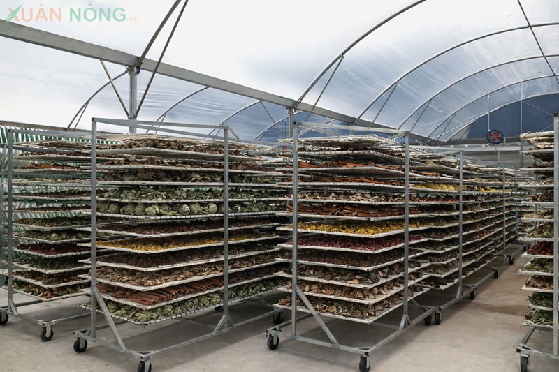 nhà kính phơi thuốc nam