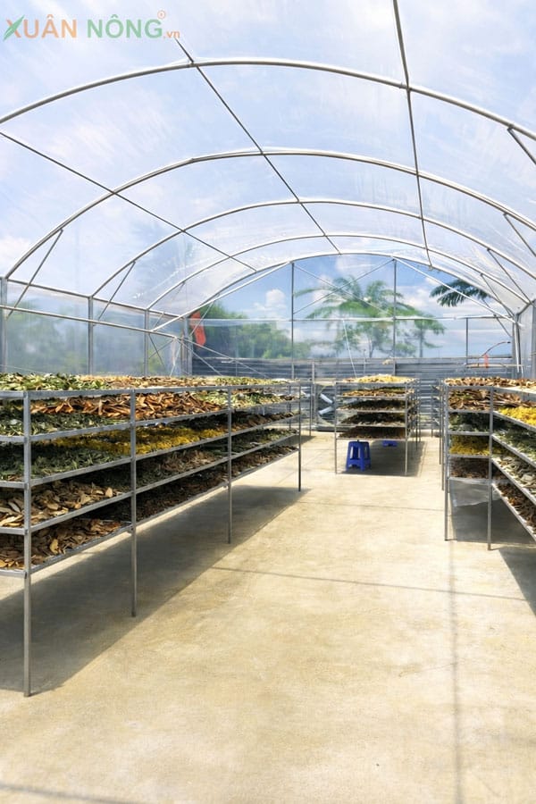 nhà kính phơi thuốc nam
