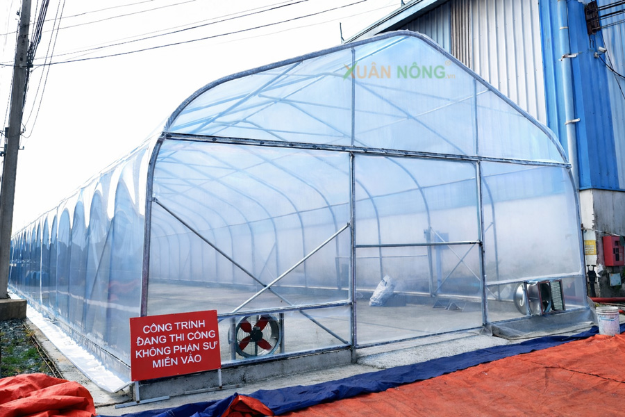 Nhà Kính Phơi Tiêu – Giải Pháp Bảo Toàn Chất Lượng