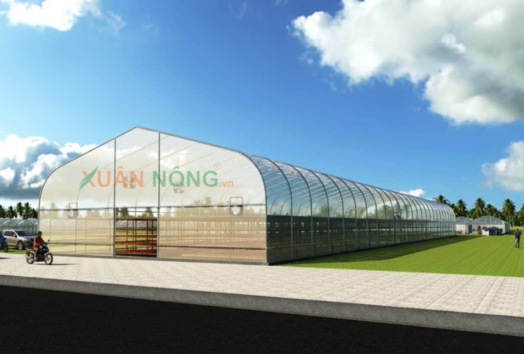 Nhà Kính Phơi Tôm Khô Công Nghệ Cao Gia Tăng Giá Trị Sản Phẩm