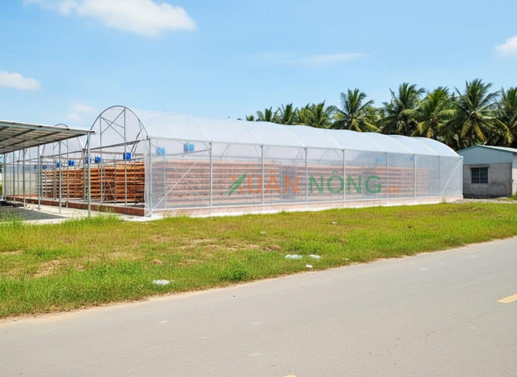 Chi phí đầu tư cho nhà kính phơi tôm khô hoàn chỉnh dao động từ 260 triệu đồng cho 1000m2