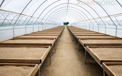 Nhà Kính Phơi Xác Mắm – Giải Pháp Tái Tạo Giá Trị Phụ Phẩm