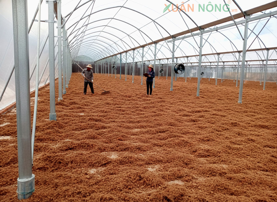 Nhà Kính Phơi Sấy Xơ Dừa