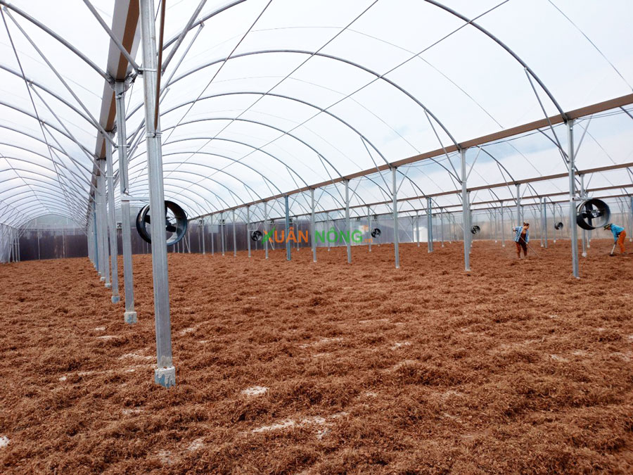 Nhà Kính Phơi Xơ Dừa – Giải Pháp Sấy Khô Nhanh, Sạch Cho Cơ Sở Sản Xuất