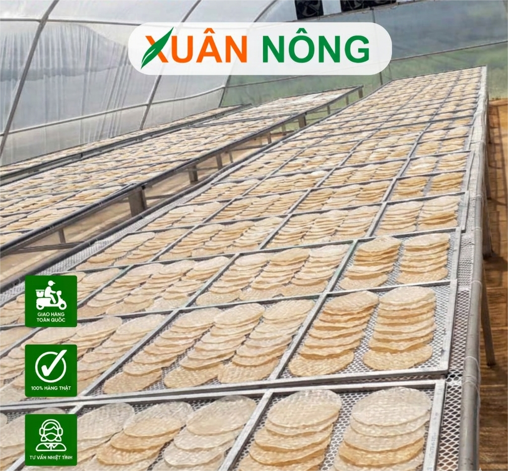 Báo giá nhà kính phơi bánh tráng 2026