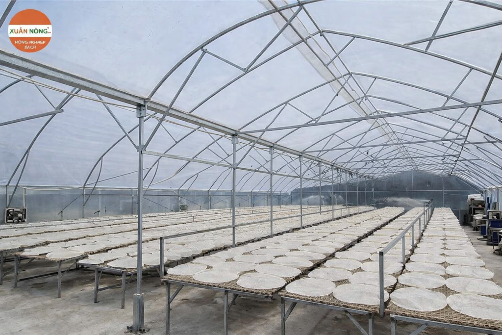 Báo giá nhà kính phơi bánh tráng 2026
