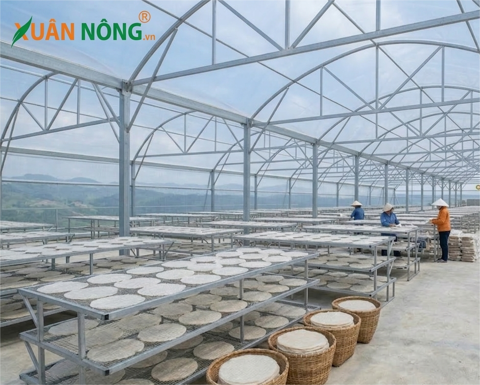 Báo giá nhà kính phơi bánh tráng 2026
