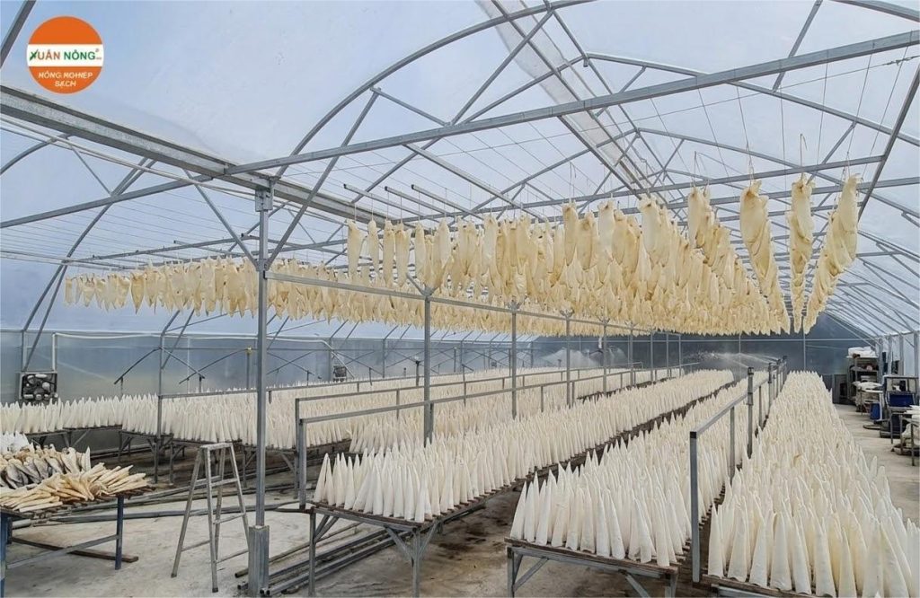 Báo giá nhà kính phơi bong bóng cá 2026