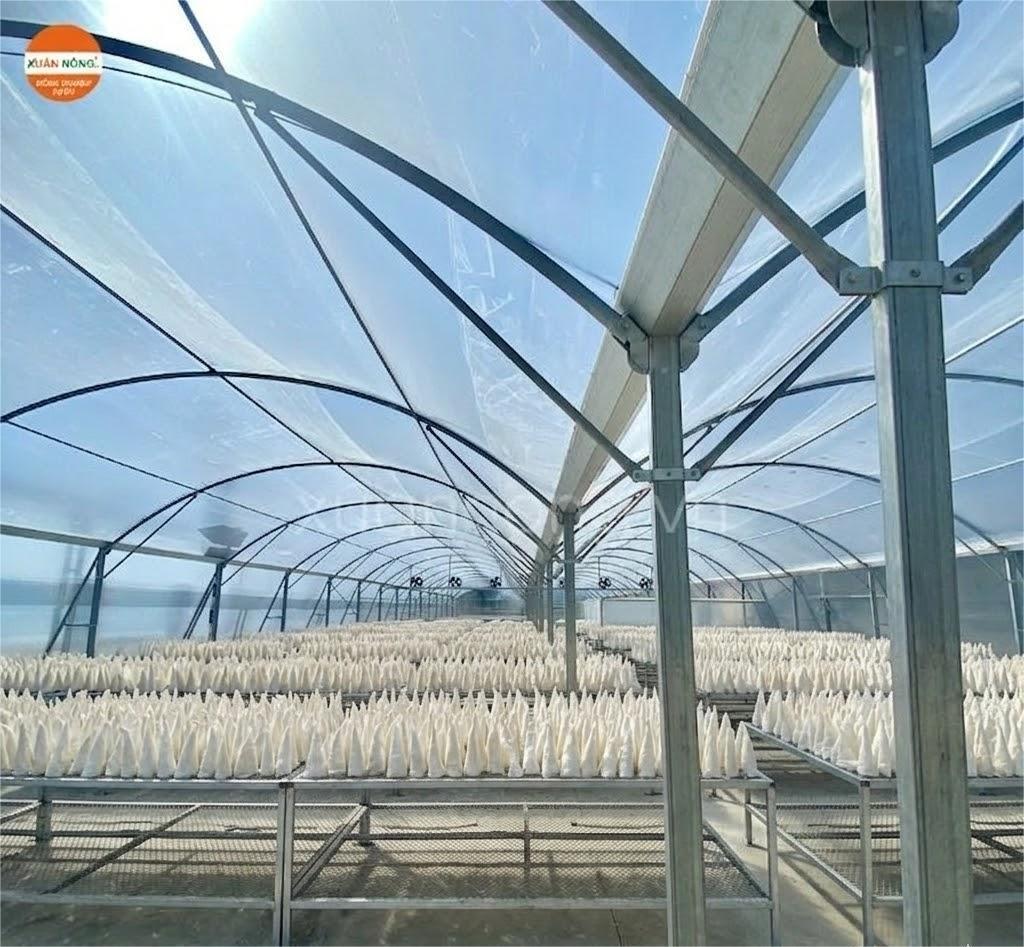 Báo giá nhà kính phơi bong bóng cá 2026