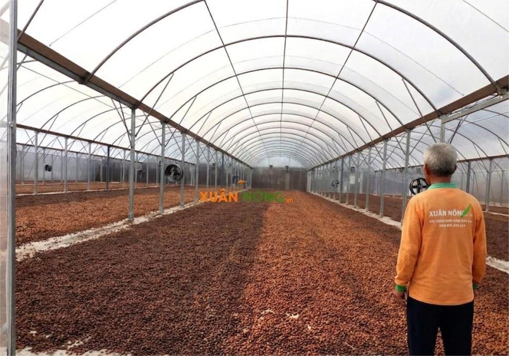 Báo Giá Nhà Kính Phơi Cà Phê 2026