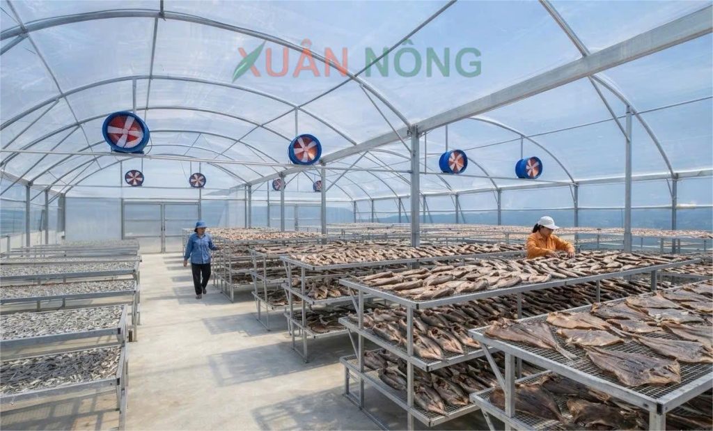 Báo giá nhà kính phơi cá sạch