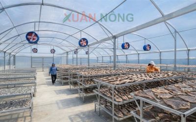 Báo Giá Nhà Kính Phơi Cá Sạch 2026 — Đạt Chuẩn VSATTP