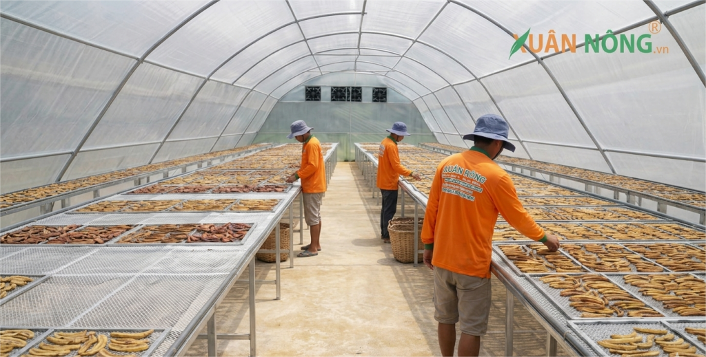 Báo Giá Nhà Kính Phơi Chuối 2026