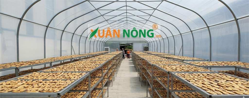 Báo Giá Nhà Kính Phơi Chuối 2026