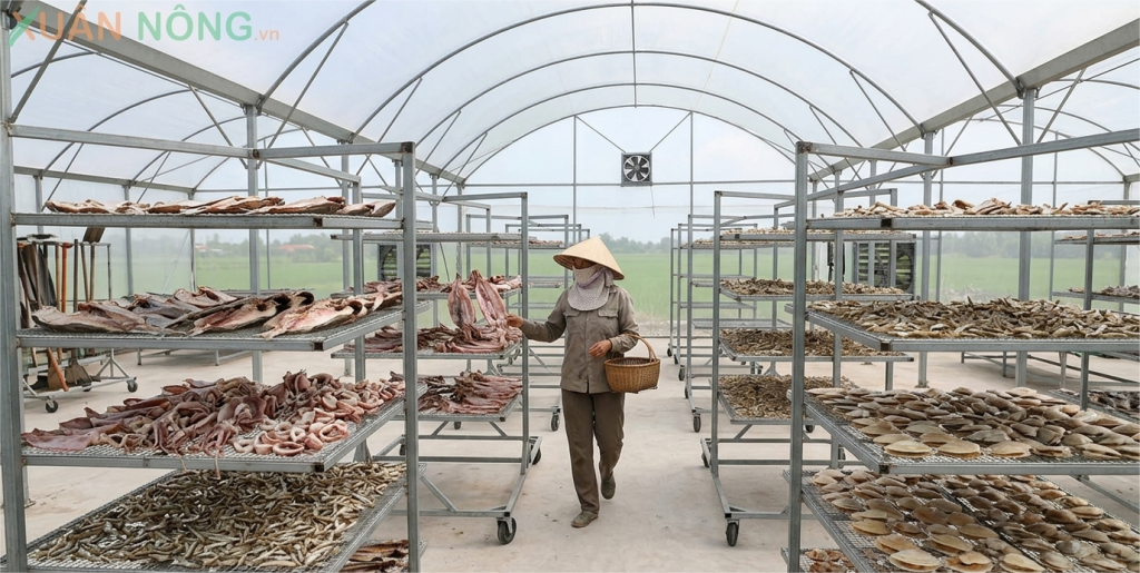 Báo giá nhà kính phơi hải sản 2026
