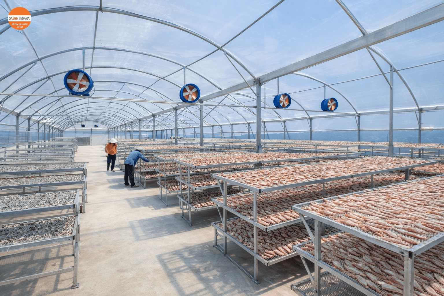 Nhà kính phơi hải sản tổng hợp — cá khô, mực khô trên giàn inox, quạt thông gió, lưới 50 mesh