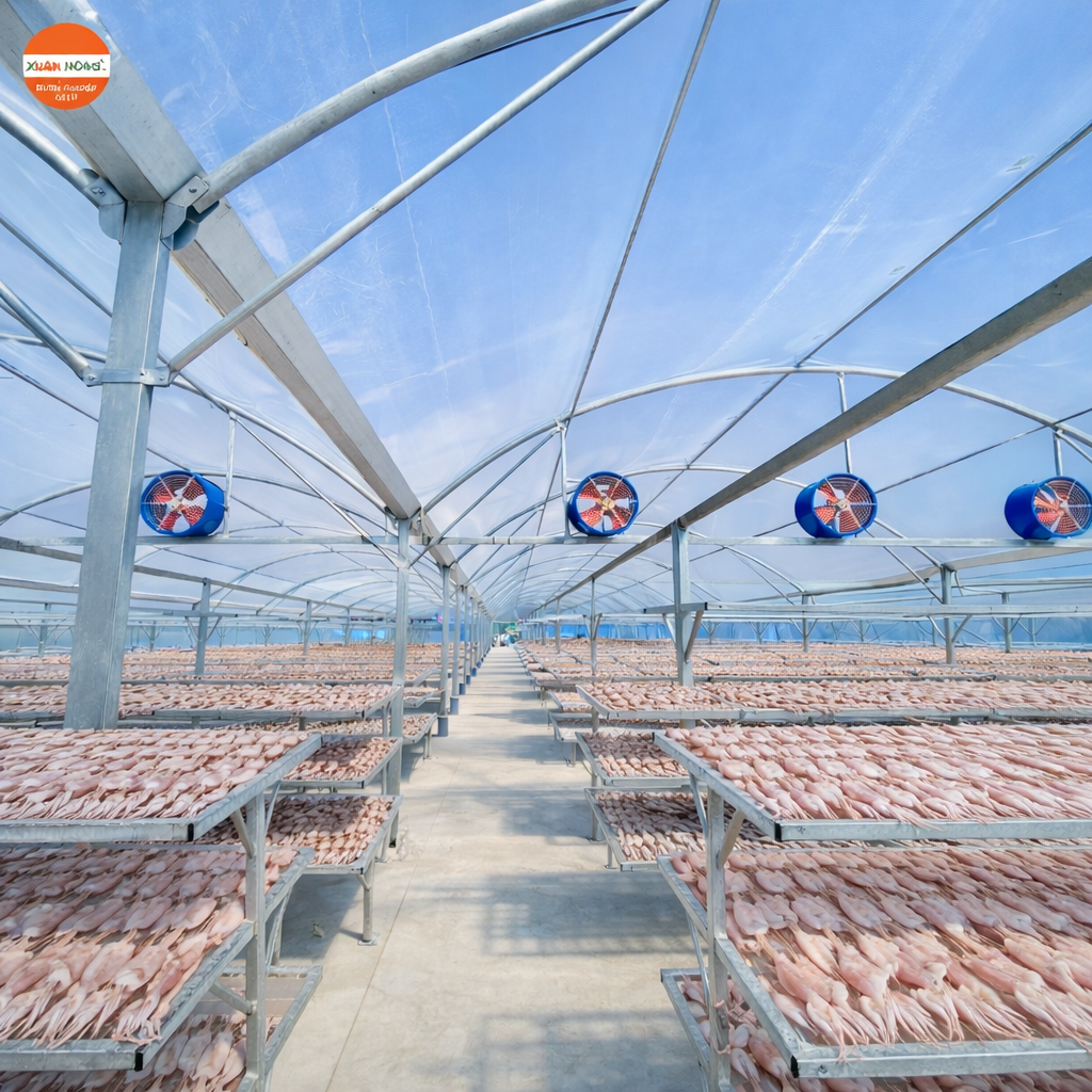 Báo giá nhà kính phơi Hải sản 2026