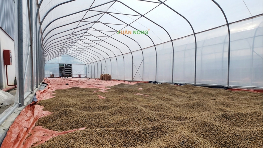 Báo giá nhà kính phơi hồ tiêu 2026