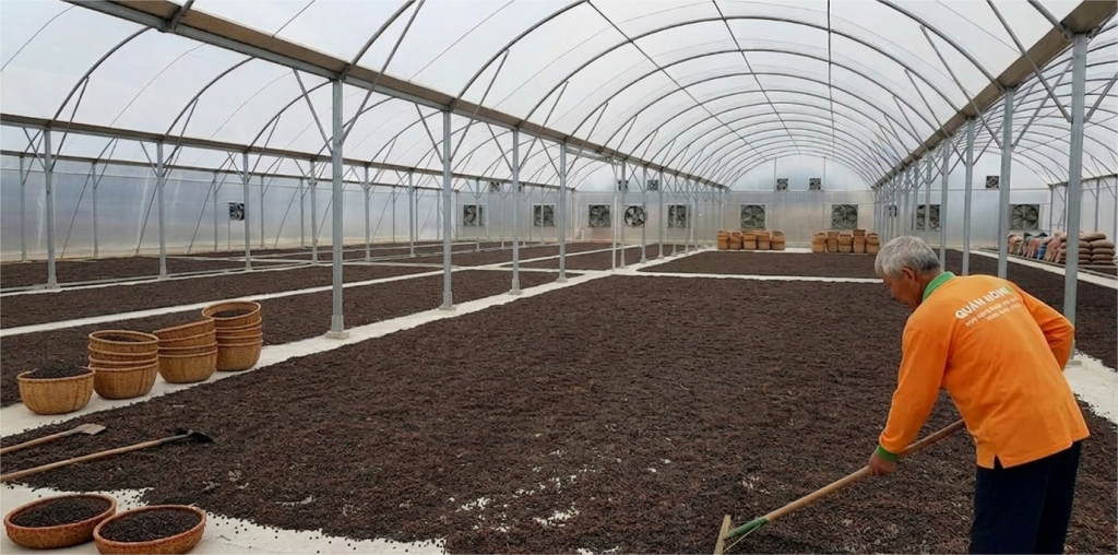 Báo giá nhà kính phơi hồ tiêu 2026