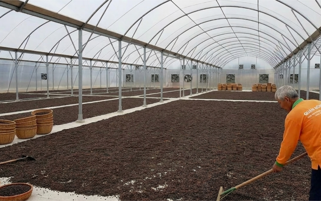 Báo Giá Nhà Kính Phơi Hồ Tiêu 2026 — Đạt Chuẩn Xuất Khẩu