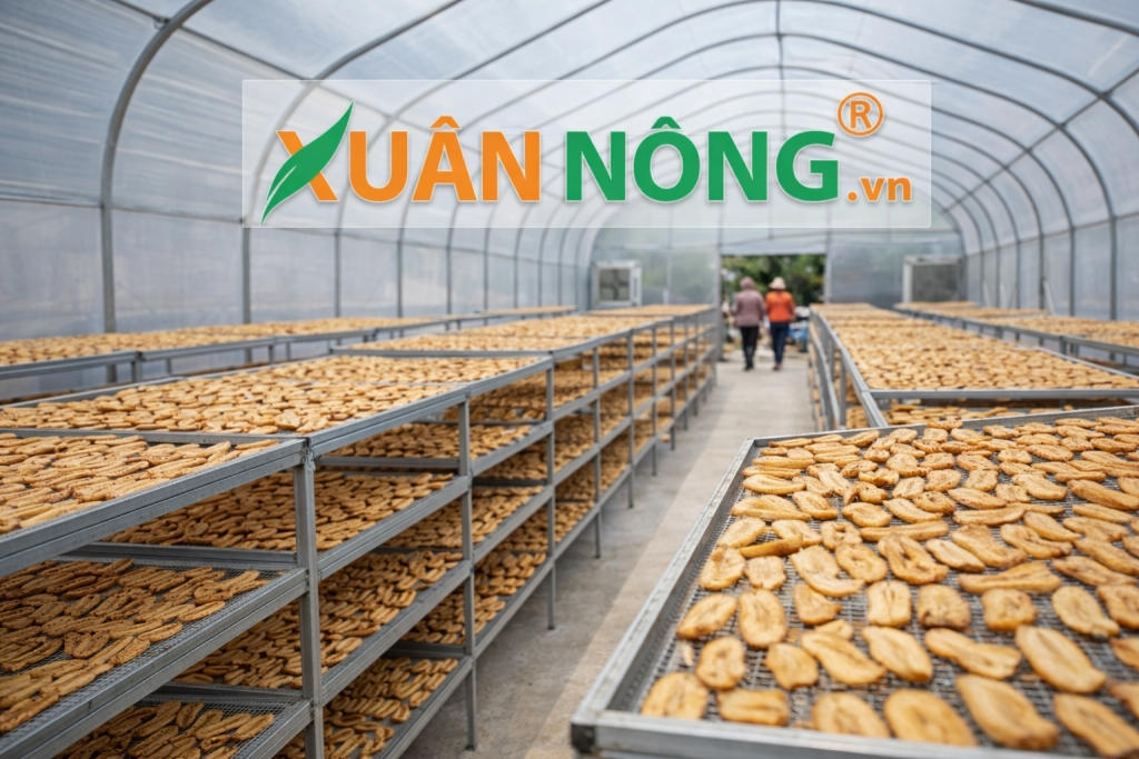 Báo giá nhà kính phơi khô