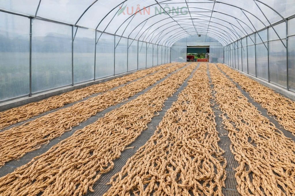 Báo giá nhà kính phơi lục bình