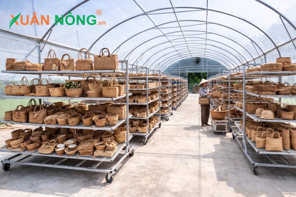 Báo giá nhà kính phơi lục bình