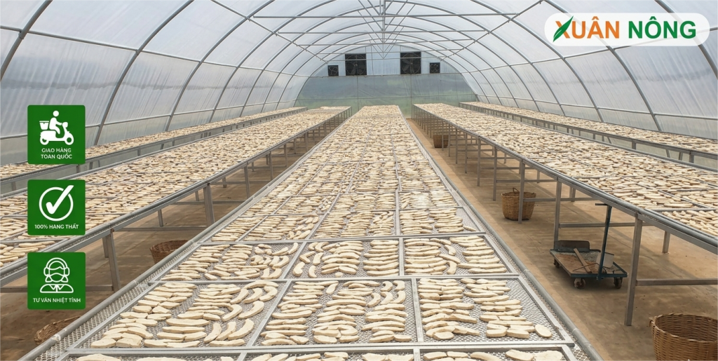 Báo giá nhà kính phơi mì lát