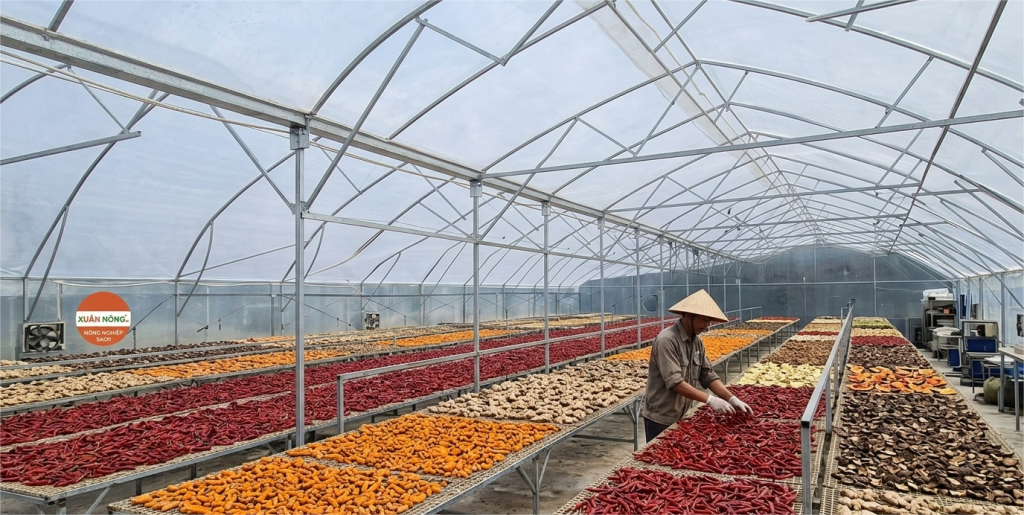 Báo giá nhà kính phơi nông sản 