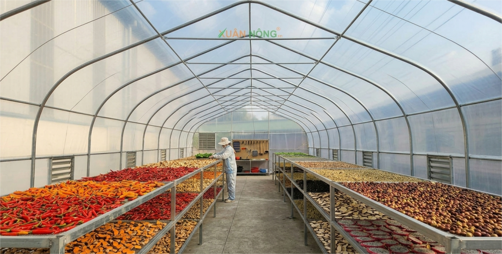Báo giá nhà kính phơi nông sản
