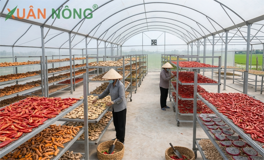 Báo giá nhà kính phơi nông sản