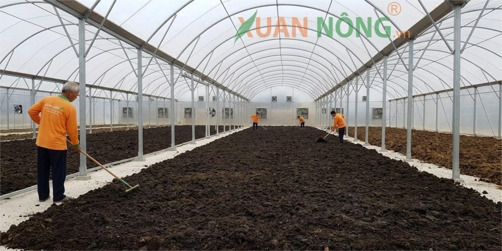 Báo giá nhà kính phơi phân hữu cơ