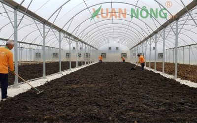Báo Giá Nhà Kính Phơi Phân Hữu Cơ 2026 — Dưỡng Chất Giá Trị