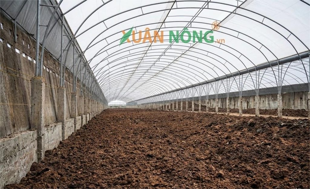 Báo giá nhà kính phơi phân hữu cơ
