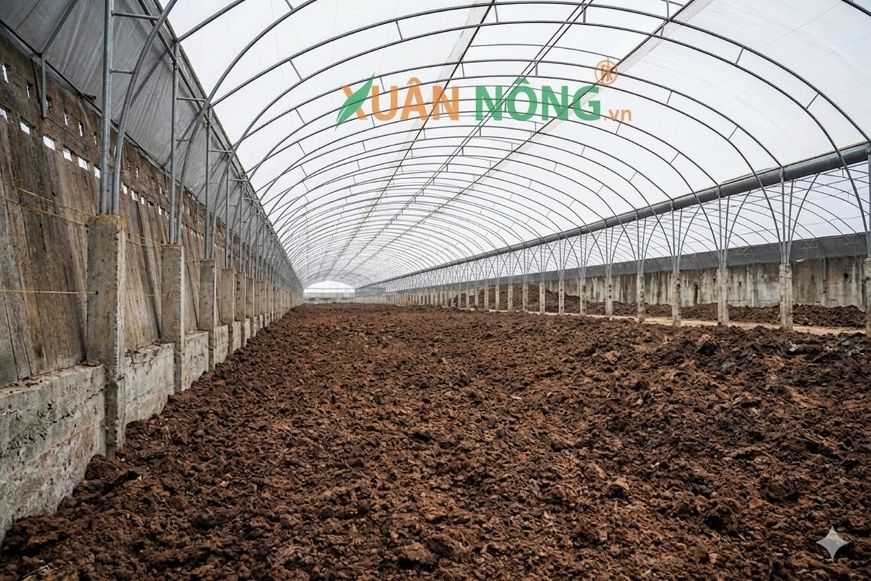 Nhà kính phơi phân hữu cơ quy mô lớn