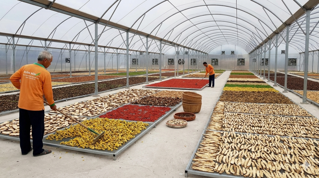 Báo Giá Nhà Kính Phơi Thuốc Nam 2026